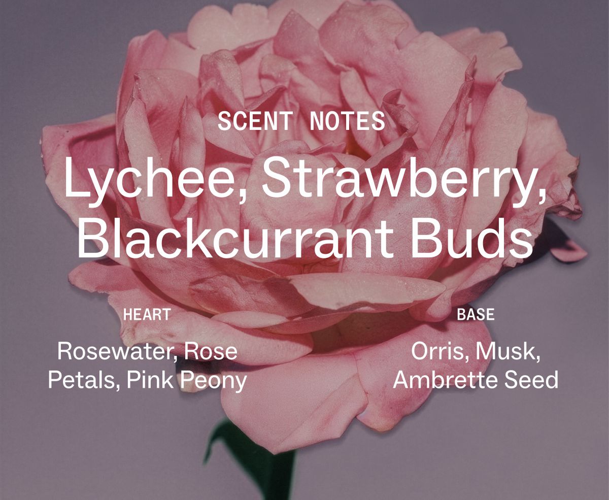 Blush Rose Body & Hair Mist