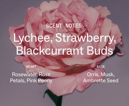 Blush Rose Body & Hair Mist