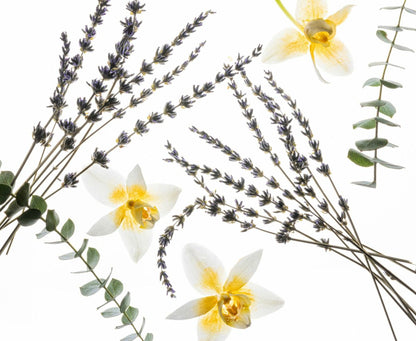 Pure Lavender Hand Sanitizer